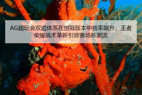 AG超玩会双边体系在世冠版本中胜率飙升，王者荣耀战术革新引领赛场新潮流