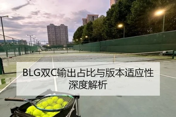 BLG双C输出占比与版本适应性深度解析