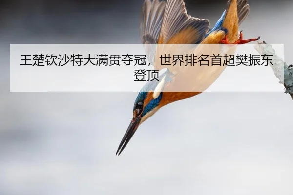 wang-chu-qin-sha-te-da-man-guan-duo-guan-shi-jie-pai-ming-shou-chao-fan-zhen-dong-deng-ding-2-466.jpg