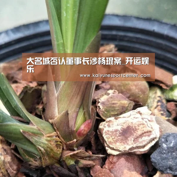 开运娱乐