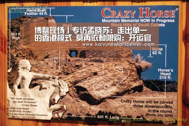 博鳌现场丨专访孟晓苏:走出单一的香港模式 莫再依赖限购:开运官网(图4) 开运官网