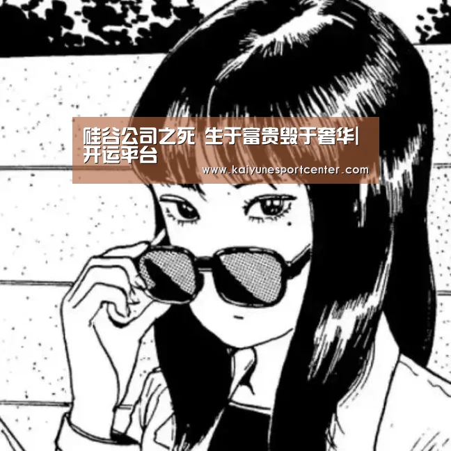 硅谷公司之死 生于富贵毁于奢华|开运平台(图1) 开运官网