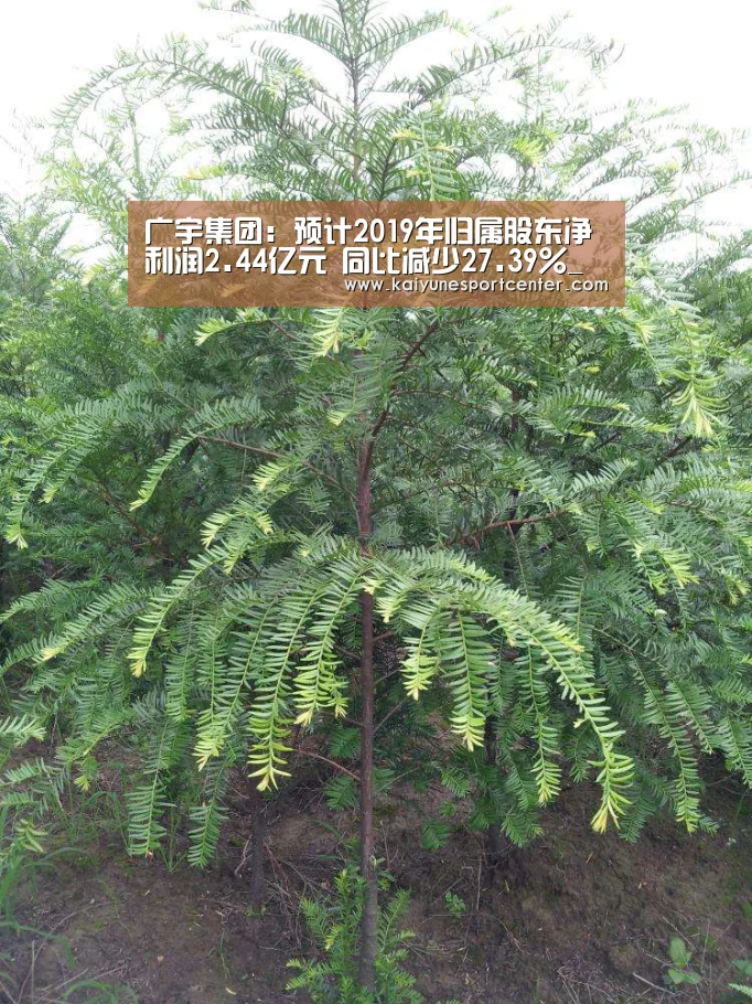 开运官网