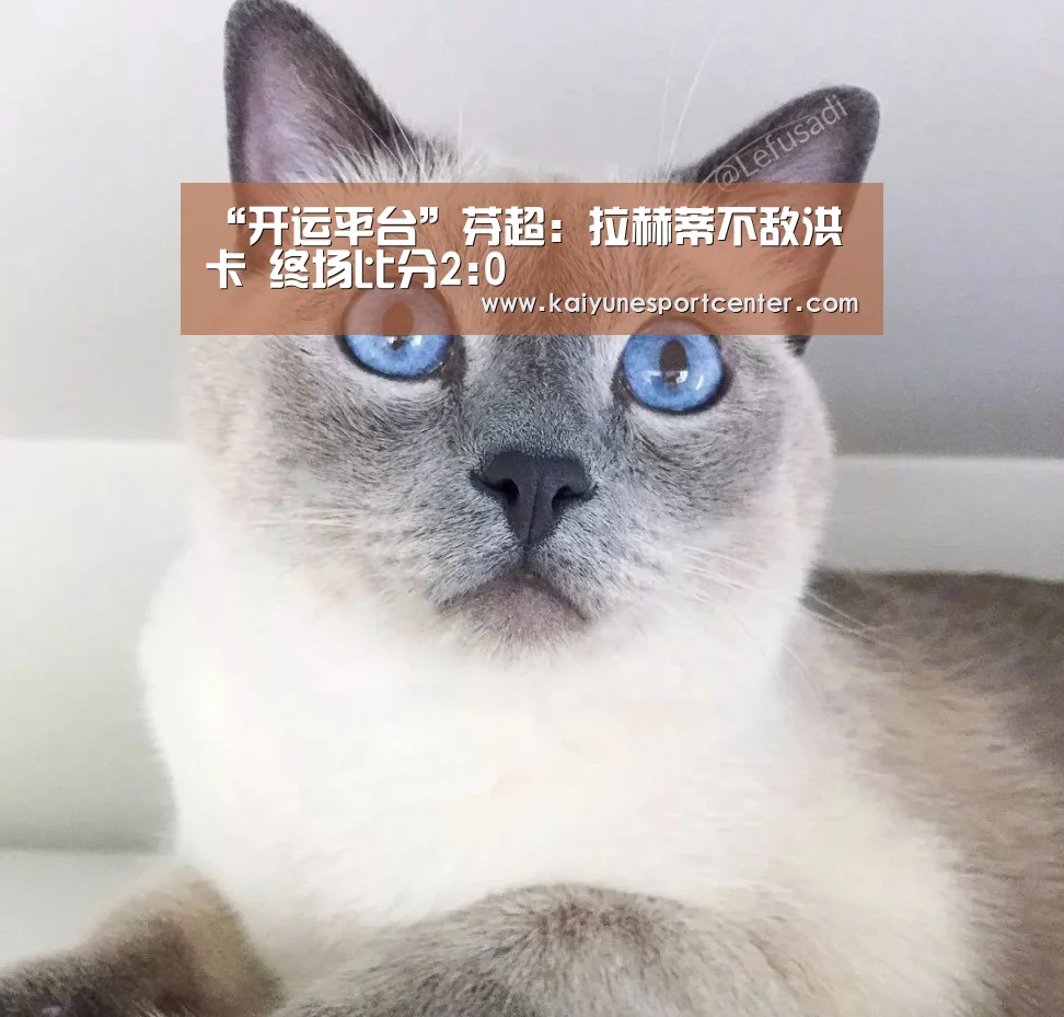 开运平台