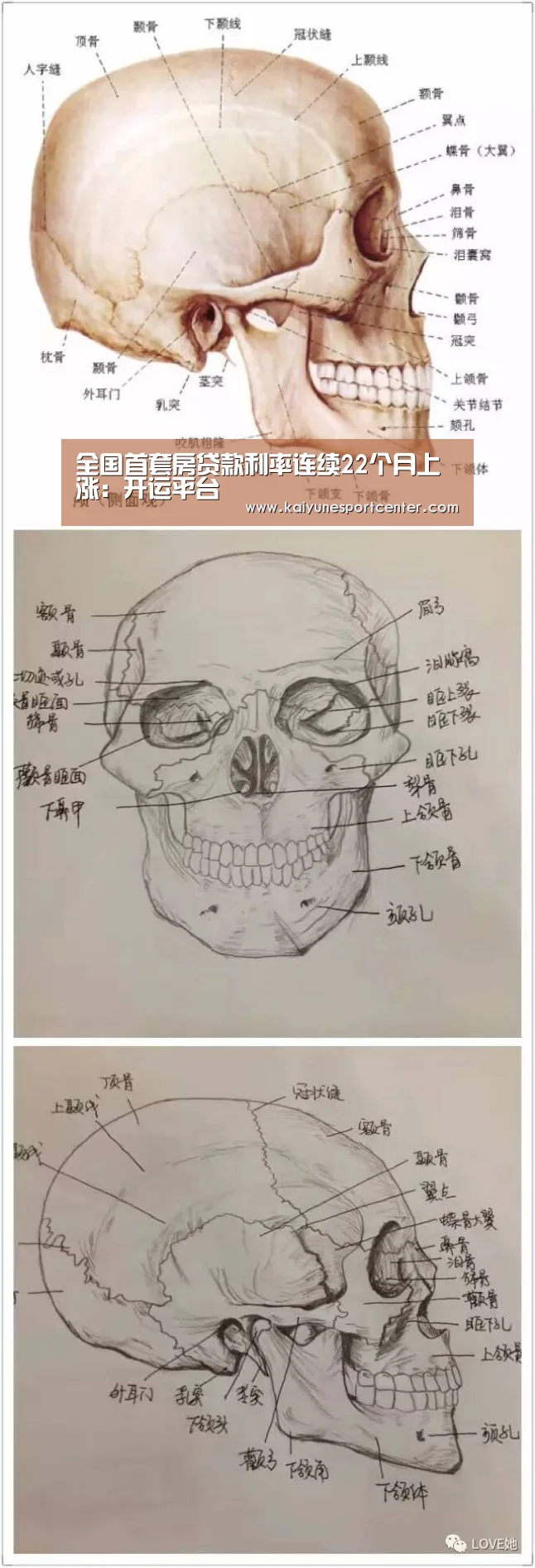 全国首套房贷款利率连续22个月上涨：开运平台
