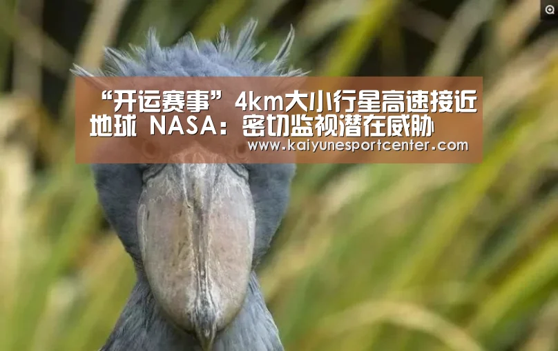 开运娱乐